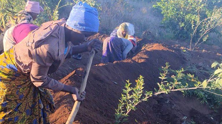 Climate Smart programme empower communities in Blantyre