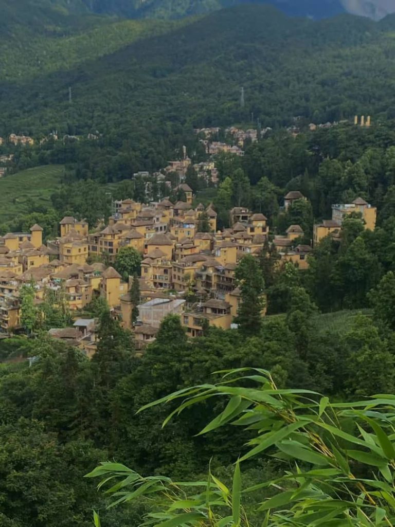 International Youths engaged in World Cultural Heritage Protection
