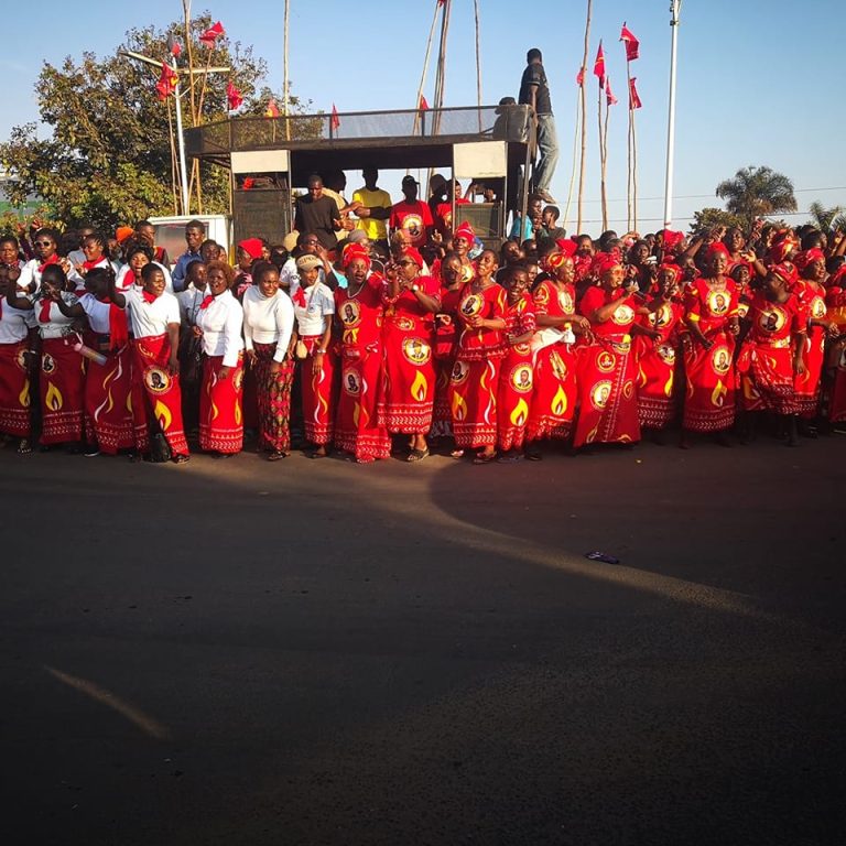 Support government without looking at party affiliation – Veep