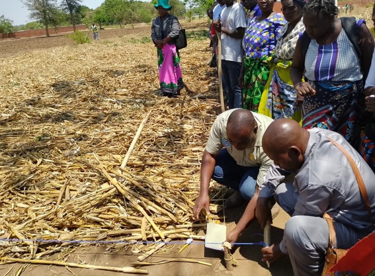 Established organic waste management and processing systems key to sustainable soil health