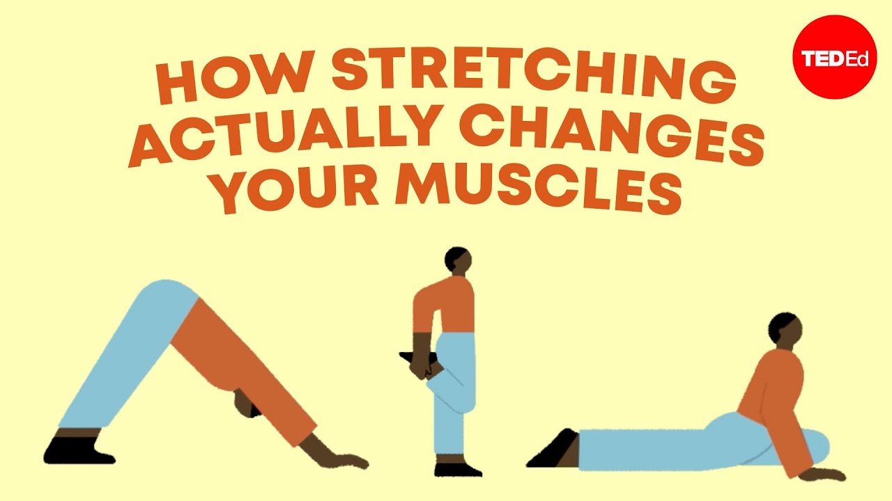 DOES STRETCHING ACTUALLY WORK visual data 7