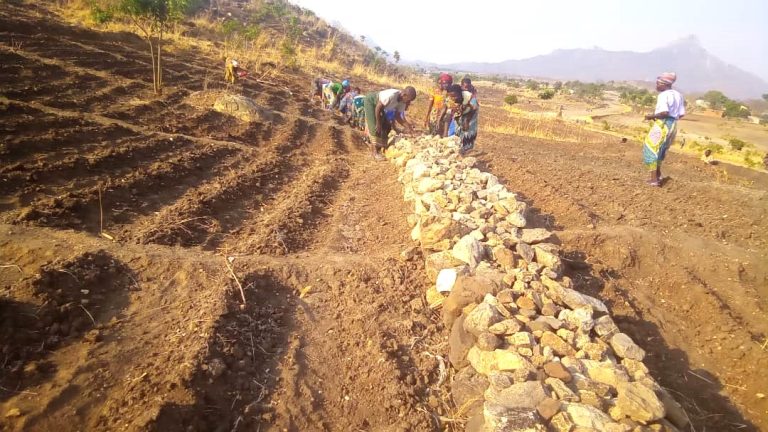 Communities prepare nursery in reediness for tree planting