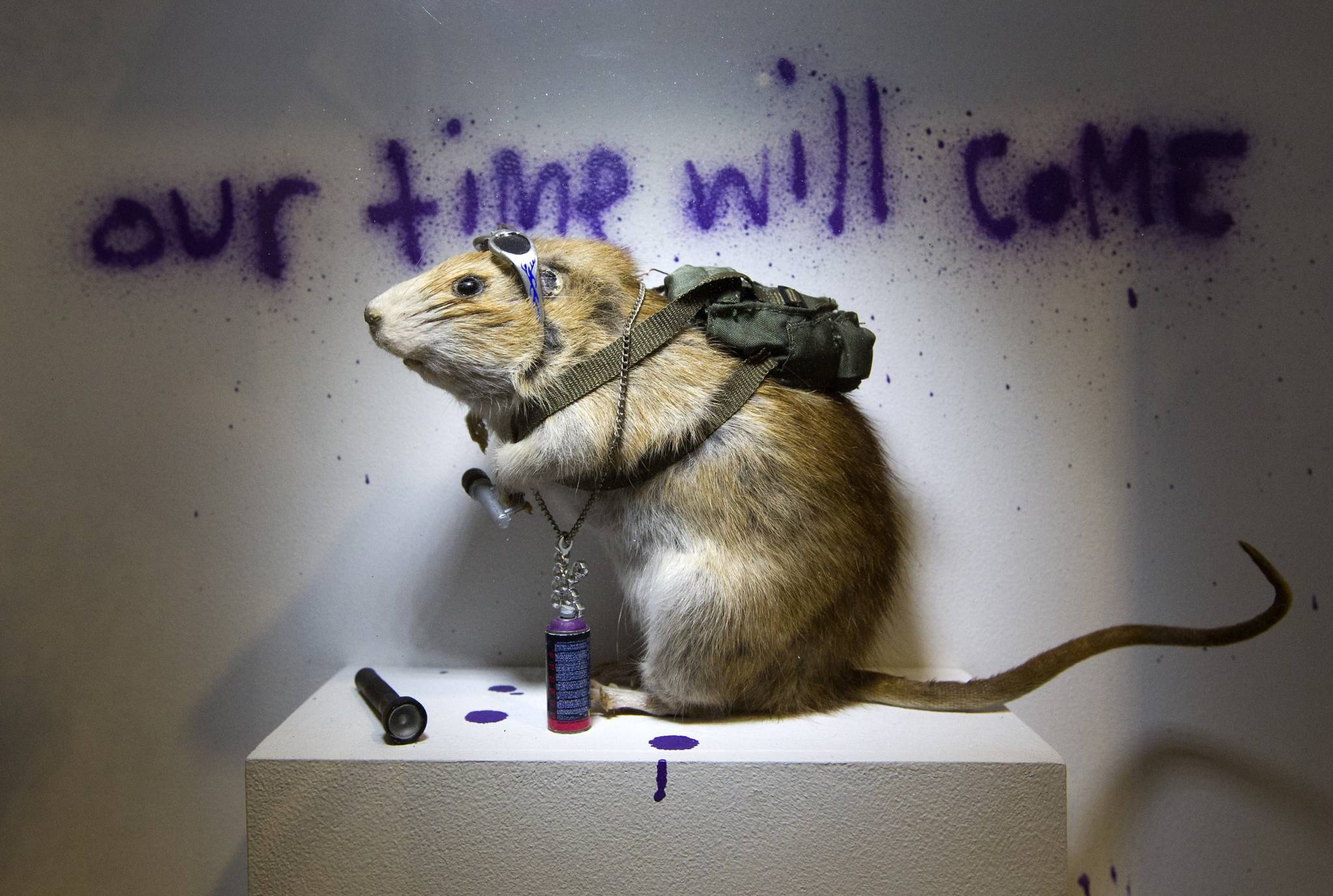 The history of the world according to rats - Leyman Publications