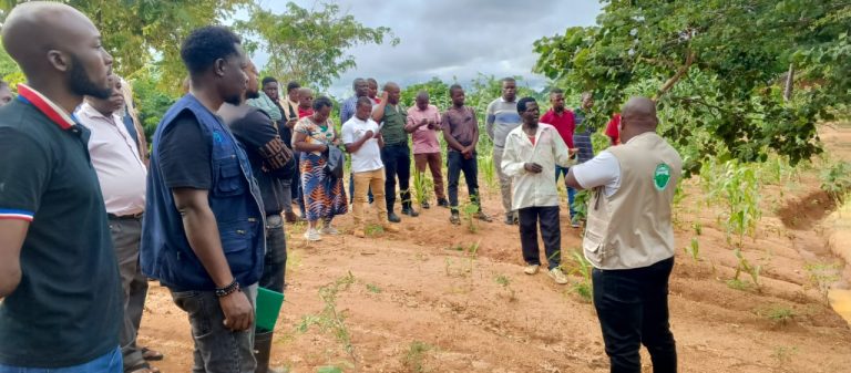 Mwanza hosts Mangochi, Machinga district councils on a learning tour