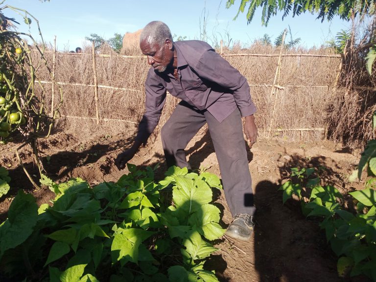 From waste to wealth: communities adopt manure to fight food insecurity