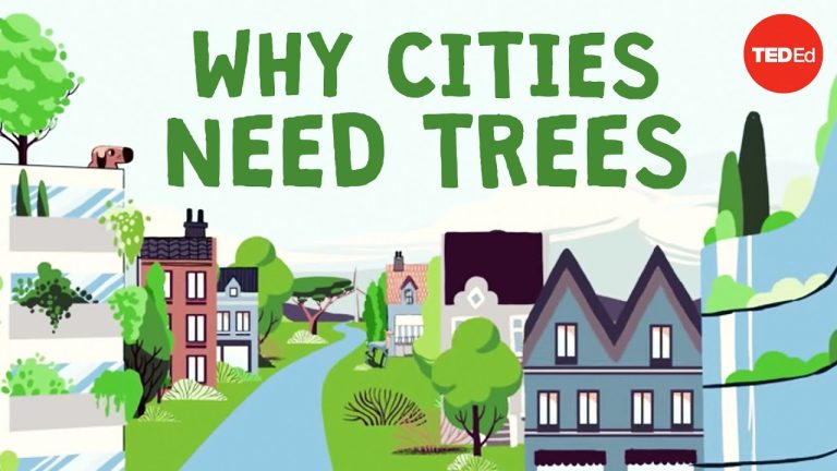What happens if you cut down all of a city’s trees?