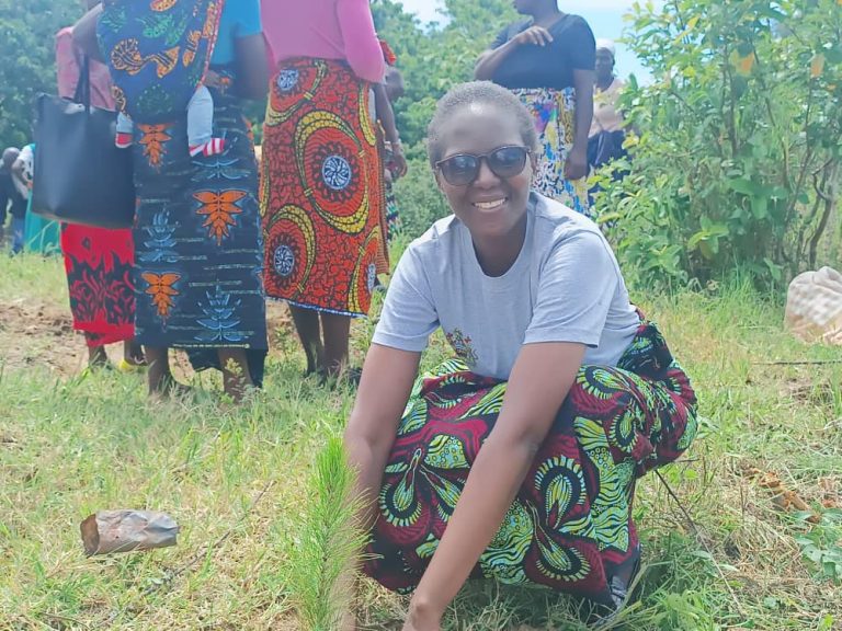 Mzimba sets target to plant seven million trees in 2025/2026 National Forestry Season