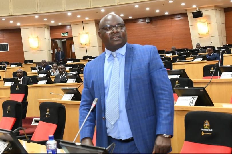 Malawi to increase Domestic Air travel