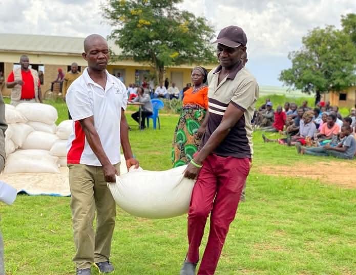 Maize for all as prices fall: policy shift that ends high cost of survival