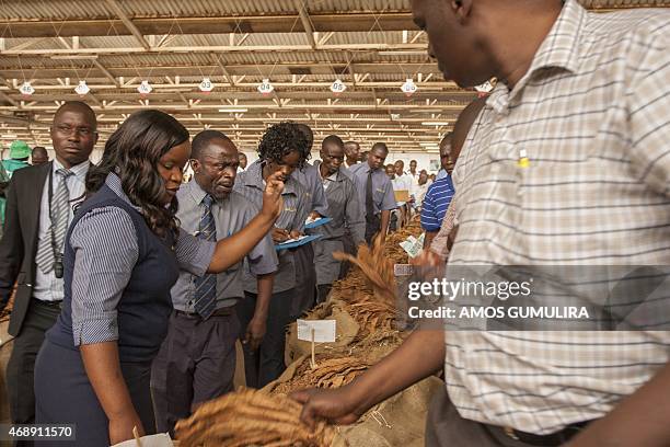 Tobacco Market Records Strong Performance in 2026 Season Despite Challenges