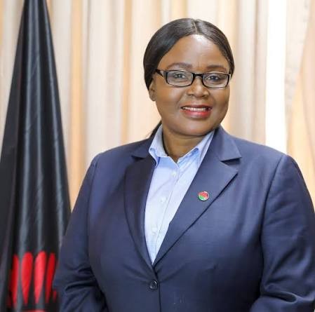 Government Refutes Claims of Delayed Maize Purchases, Says Buying is Underway