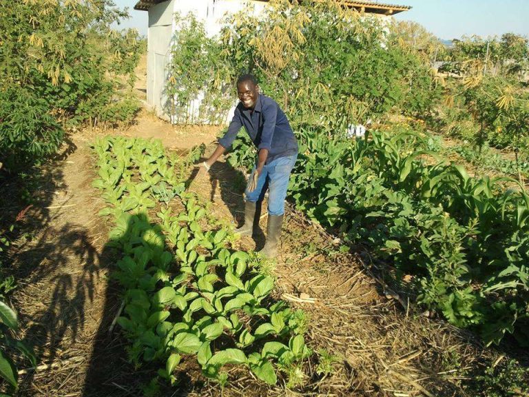 Agriculture Expert Challenges Local Farmers to Explore Alternatives Farming Practices