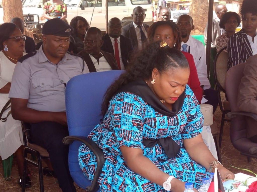 Minister Advocates for Custom African Health Systems